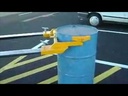 youtube - [Video]