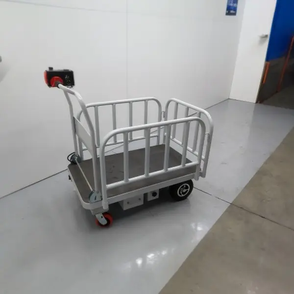Plataforma autopropulsada 500 kg5_N10843_C.webp