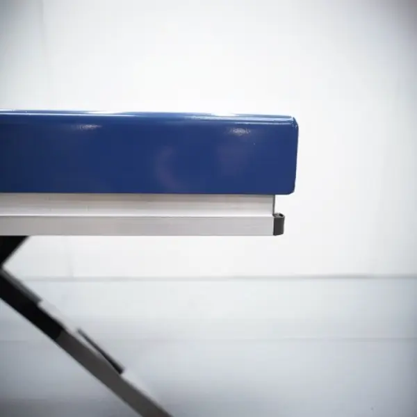 Mesa eléctrica 500 kg3_N10144.webp