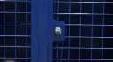 N6086_6.webp